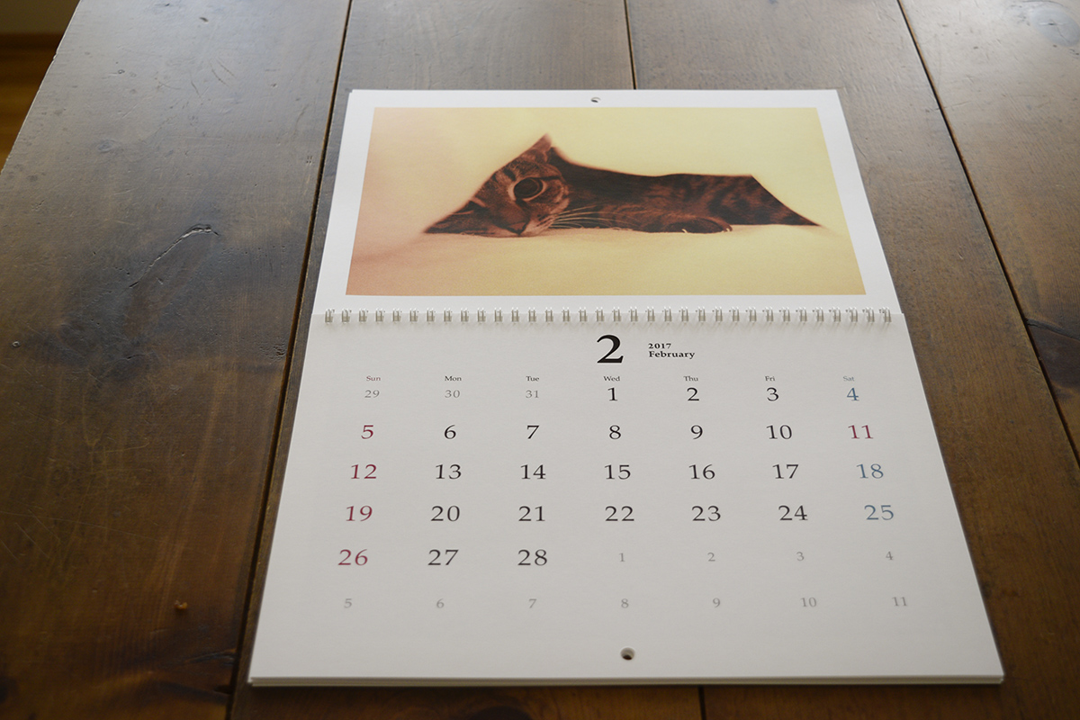 虎ノ介のカレンダー